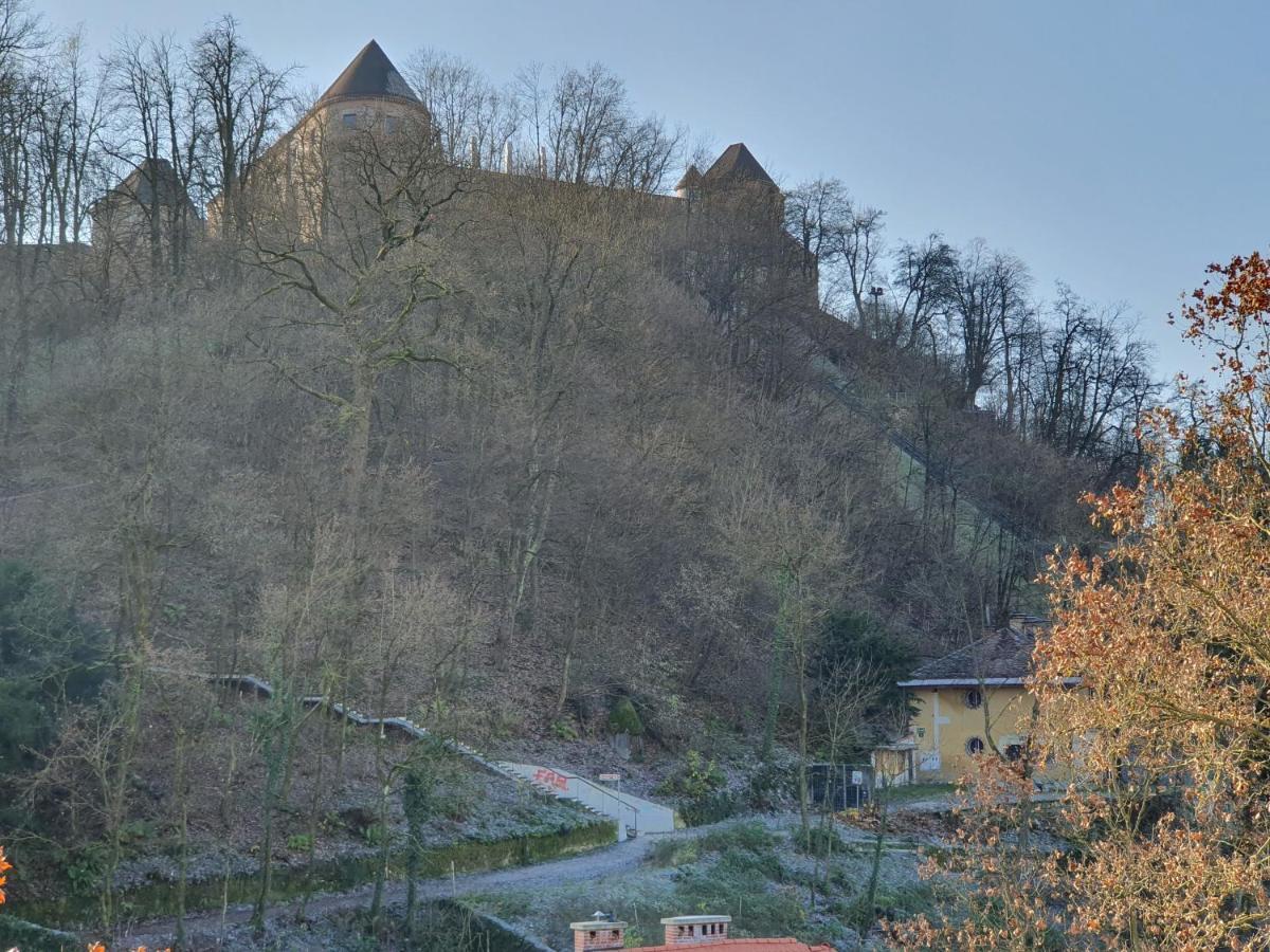 Bossa Nova Castle&Outstanding Home With Garage Lublana Zewnętrze zdjęcie